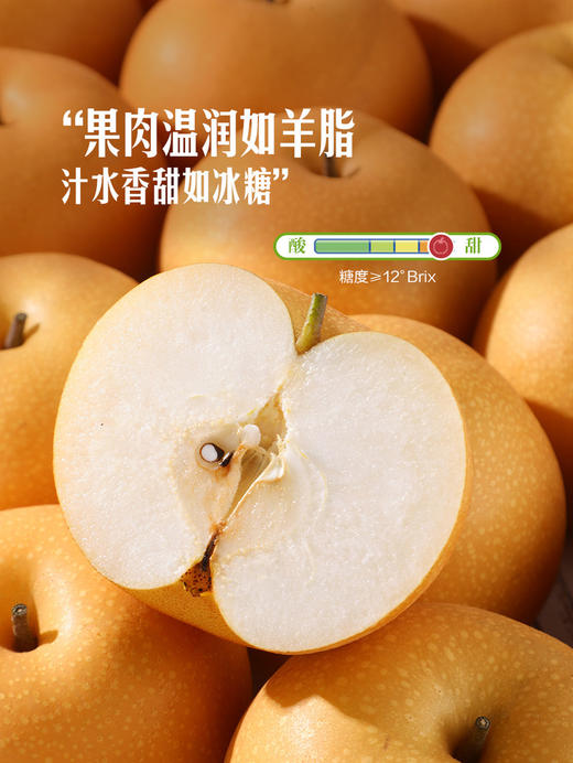 MM 山姆 山东甘露梨 3kg 商品图2