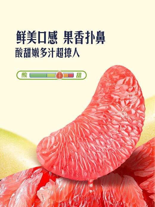 MM 山姆 三红柚 6kg 商品图2