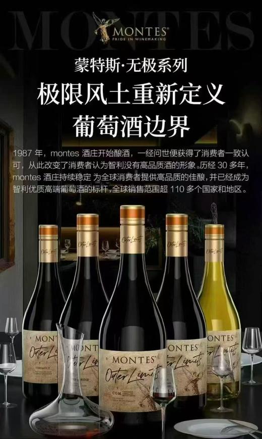 【超值购】蒙特斯无极系列黑皮诺*6瓶 商品图2
