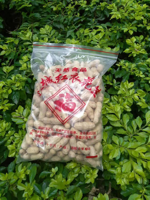 【2025龙岩湿烤花生来啦】“花生届的高富帅”，采用湿烤的方式，让花生又香又有嚼劲基地直邮 商品图2