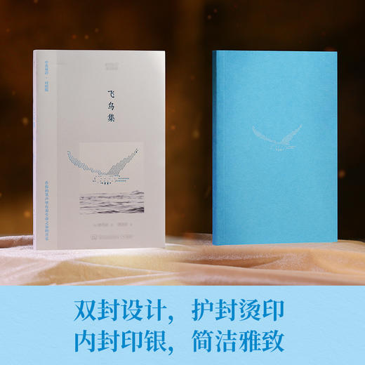 飞鸟集(汉文 英文) 商品图2