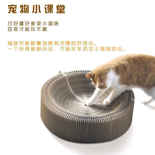 创意手风琴猫抓板宠物用品解压磨爪瓦楞纸猫猫专用玩具用品新款新品 商品图2