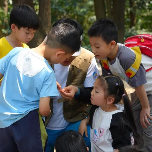 12月21日 广州·六榕小径山野遛娃亲子活动1日营丨冬日山野的徒步，趣玩、成长与专业守护！ 商品图1
