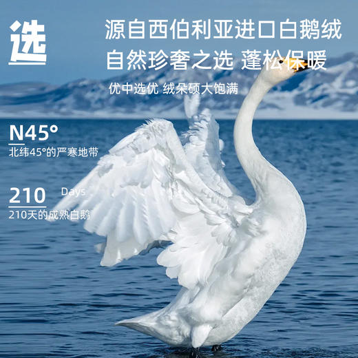 西伯利亚进口95白鹅绒冬被(扭花款) 商品图1
