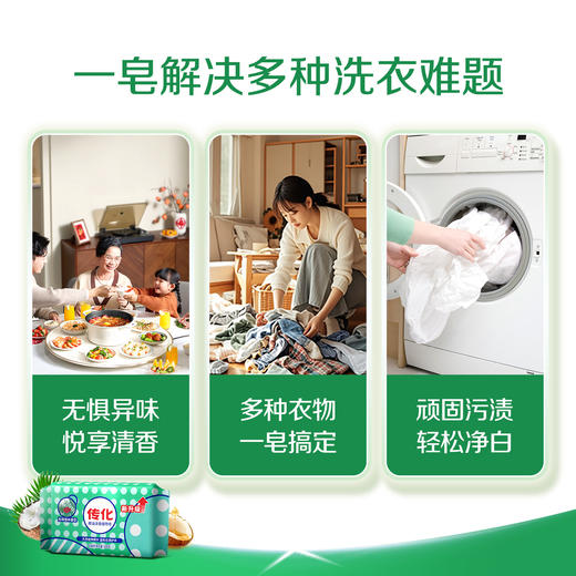 传化208g椰油植物皂 商品图0