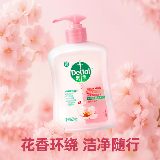 滴露抑菌洗手液滋润倍护250g 商品图6