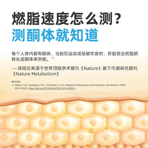 【优选上新】野兽优选｜硅基SiBio KS3动态血酮仪持续酮体监测系统（跨境海淘商品不支持7天无理由退换） 商品图4