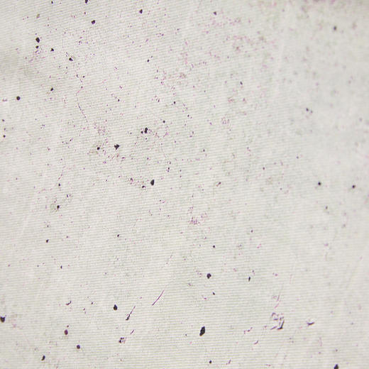 【新品上新】HX 春秋季衬衫式茄克衫外套纯棉C105530015101 商品图8