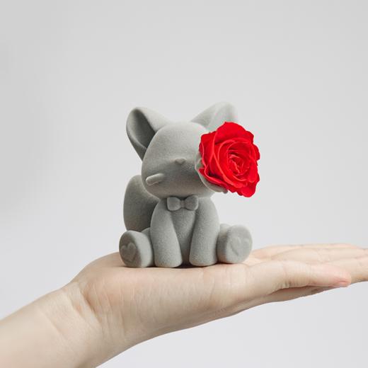 【MINI宝贝】ROSEONLY诺誓 永生玫瑰 公仔系列 MINI系列公仔   送朋友 送闺蜜 商品图3