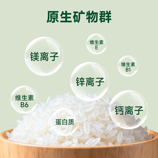 袁谷农场耐盐碱生态香米5kg蟹田稻长粒香米10斤自然米香口感弹牙双层真空包装 商品图1