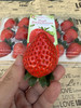红颜草莓15个装/300g+ 商品缩略图1
