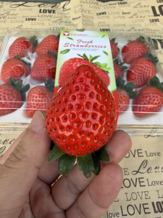 红颜草莓15个装/300g+ 商品图1
