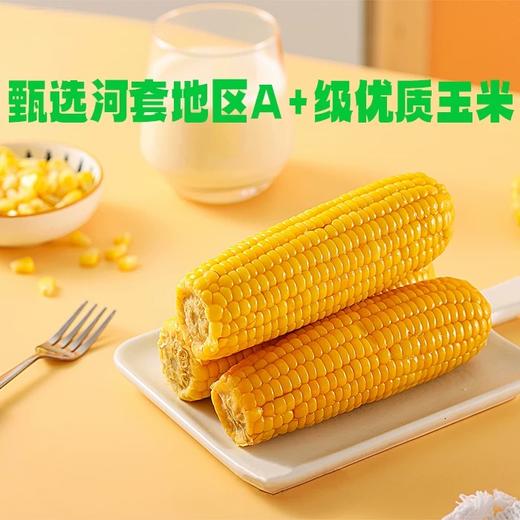 【甜糯玉米】香、甜、软、糯，QQ弹弹颗颗如珍珠一样 商品图13
