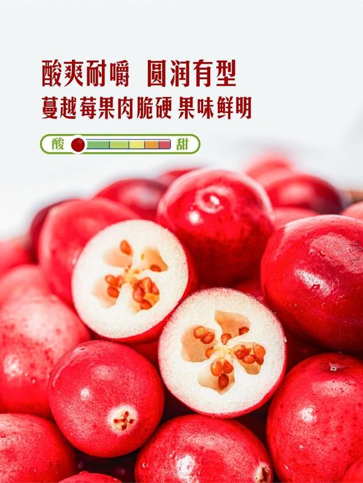 MM 山姆 蔓越莓 310g 商品图2