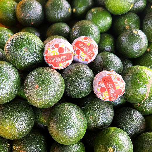 『新会柑普茶』新会生晒小青柑+勐海宫廷普洱熟茶，汤色红褐透亮，茶味柔润醇厚，柑香清幽绵长 商品图12