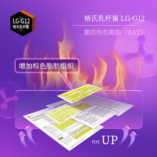 均瑶健康纤美闪溶益生菌第二代升级版10条装身材体重管理400亿CFU/条 商品图2