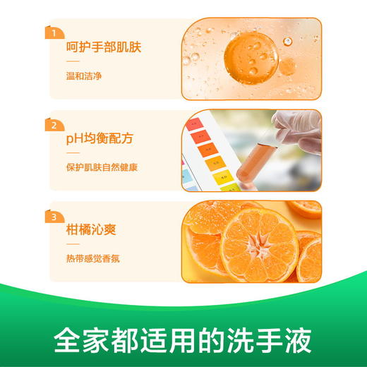 滴露抑菌洗手液自然清新500g 商品图2