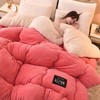 【YW】无忧购冬季厚被子双面加绒加厚保暖被芯（截单后3-5天发货) 商品缩略图4
