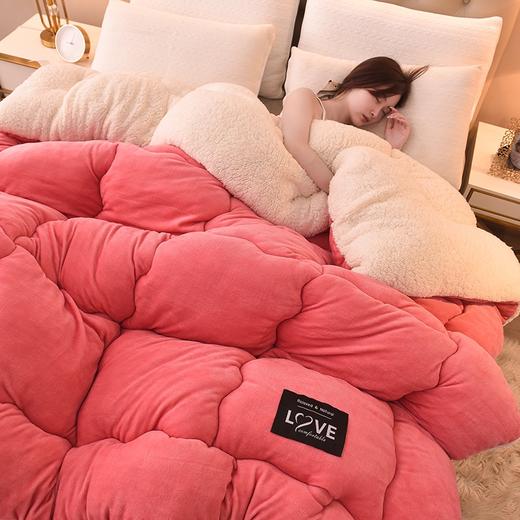 【YW】无忧购冬季厚被子双面加绒加厚保暖被芯（截单后3-5天发货) 商品图4