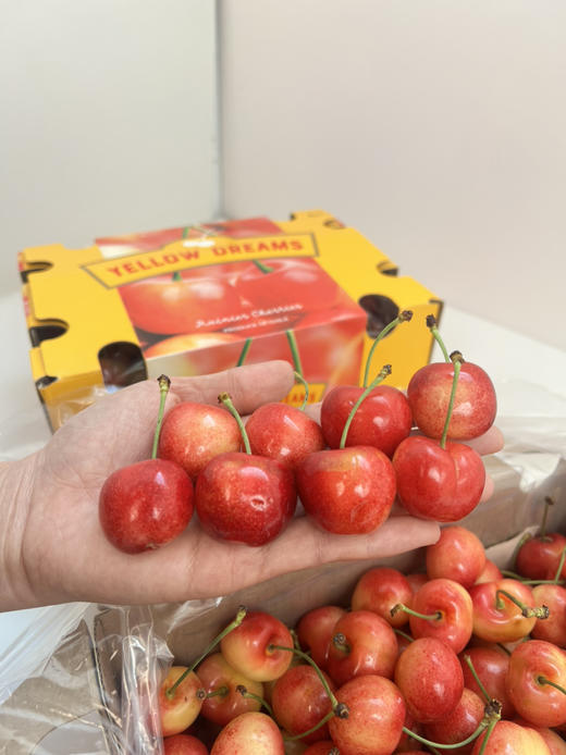 智利雷尼尔黄车🍒，硬、脆、甜、 商品图2