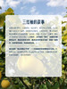 MM 山姆 三红柚 6kg 商品缩略图4