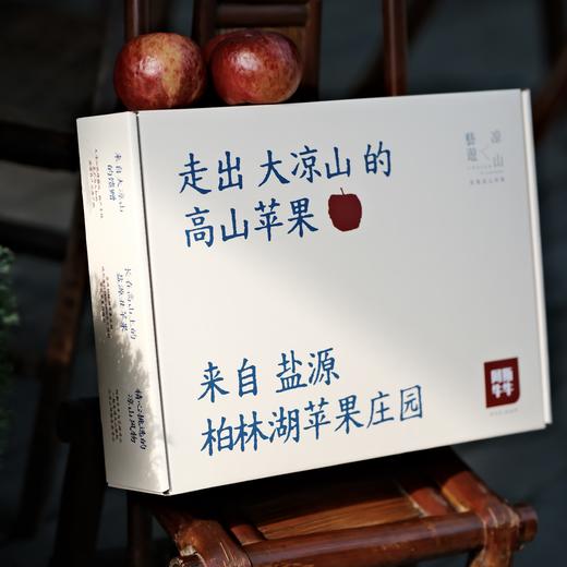 艺游凉山礼盒大凉山柏林湖庄园高山苹果 商品图0