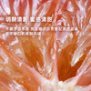 企鹅市集|福建漳州 嫩柚组合 青媛柚 / 粉宝石柚 多规格可选 爽朗清甜 果肉粉嫩 商品缩略图3