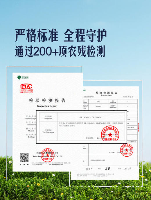 MM 山姆 国产红西柚 2.4kg 商品图3