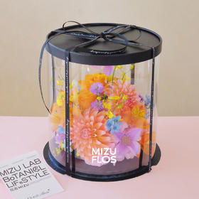 / 闪 亮 的 日 子 /（提前1天预定）