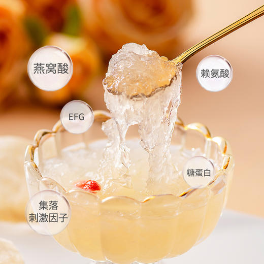 蔡府舒燕盏（即炖燕盏）9g 商品图4