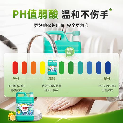 传化1.128kg柠檬洗洁精家用 商品图4