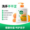 滴露抑菌洗手液自然清新500g 商品缩略图6