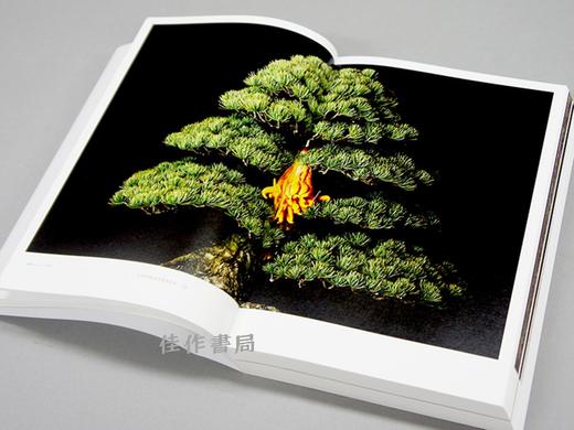 Encyclopedia of Flowers Ⅲ植物図鑑 / 植物图鉴3 商品图1