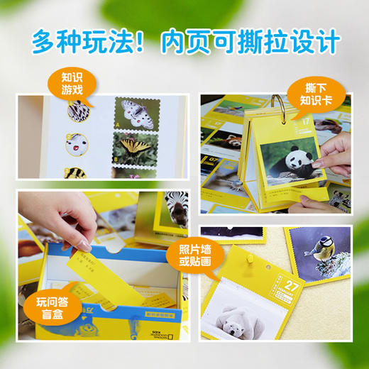 《美国国家地理·万物可爱》（2026日历） 商品图4