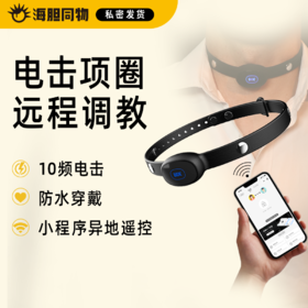 困龙 SM电击项圈 小程序远程遥控