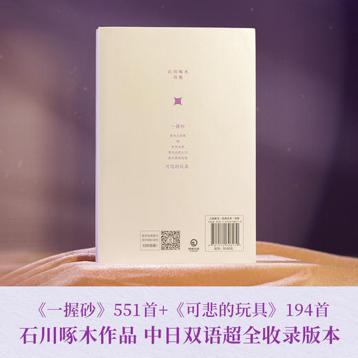 从前的我也很可爱啊(汉文 日文) 商品图1