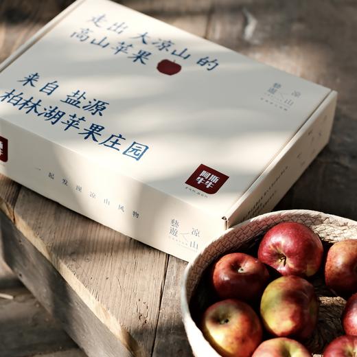 艺游凉山礼盒大凉山柏林湖庄园高山苹果 商品图1