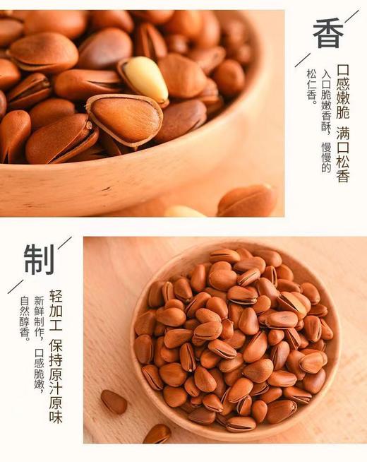 东北松子零食小吃大颗粒特产坚果炒货野生开口手剥东北特产办公室零食 商品图5