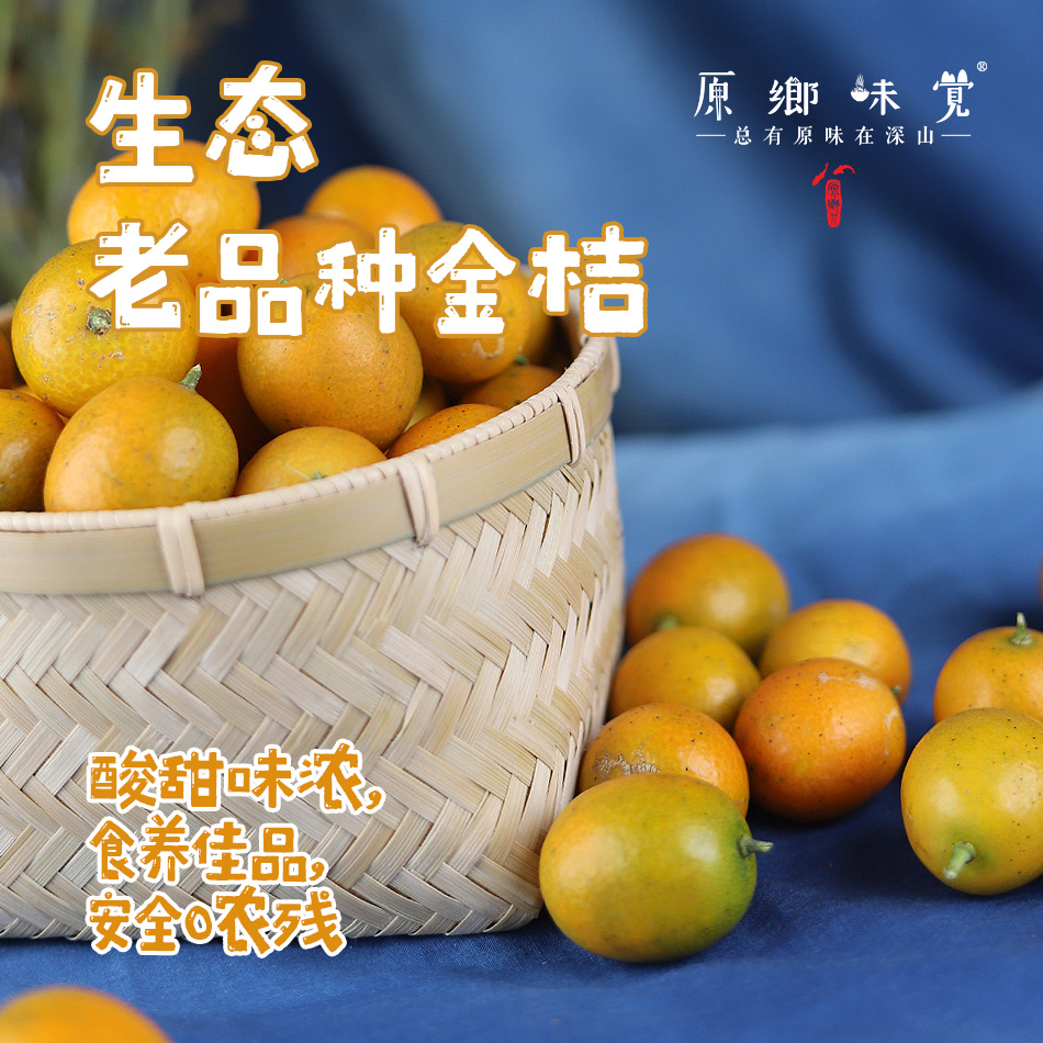 生态老品种金桔（基地直发-中通/百世包邮）| 5斤装，来自广西阳朔，生产者：黄必江【合作生产，公平贸易】