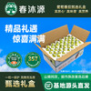 春沐源【高原七彩番茄】葡萄番茄清甜多汁夏日阳光玫瑰顺丰礼盒沙拉生 商品缩略图0