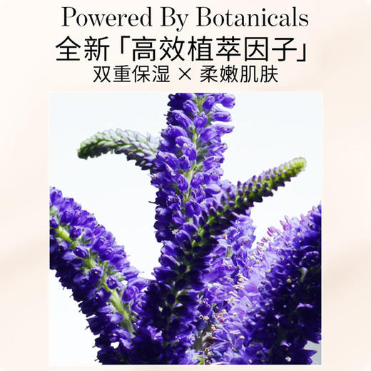 Chantecaille香缇卡隔离妆前乳素颜霜 二代新色Opaline 35g 商品图2