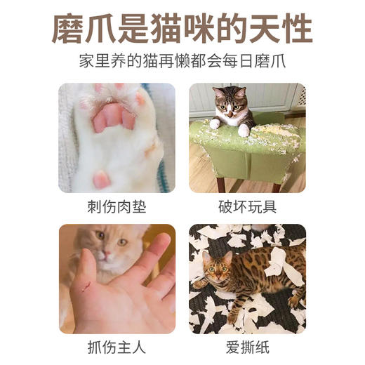 2025年创意风琴猫抓板宠物解压磨爪瓦楞纸猫猫专用玩具用品可新款新品 商品图2