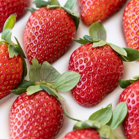 【斌哥优选】妙香7号草莓。个头不大，味道浓郁，九甜一酸，硬度高方便运输。草莓季来了，快快掉进草莓的温柔陷阱。