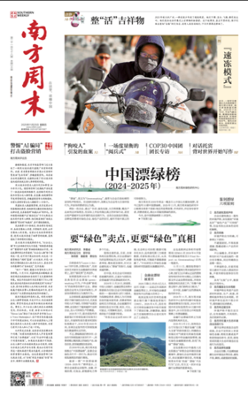 南方周末2025年11月20日第2178期
