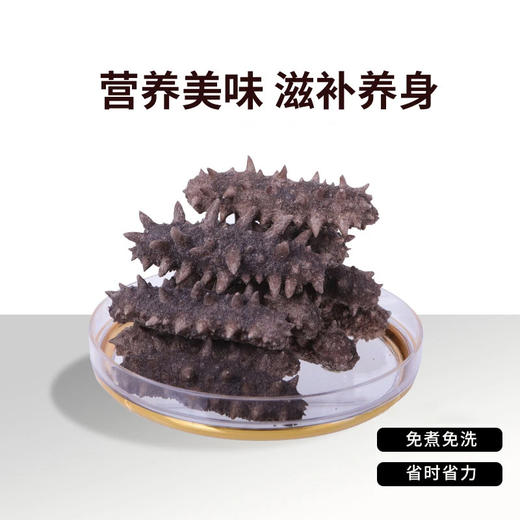 【年终大促!·大连国标特级速发海参礼盒】营养、品质、数量"三大升级”免蒸免煮 48小时速发!含盐分享量≤2%，蛋白质含量≥70% 100根送20根(单根需12.5元!) 商品图5