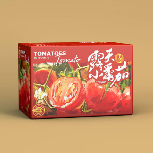 攀枝花露天甜贝贝水果小番茄 净重3-5斤 新鲜采摘 商品图7