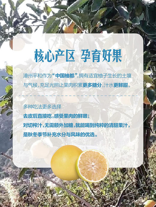 MM 山姆 玲珑柚 3.5kg 商品图4