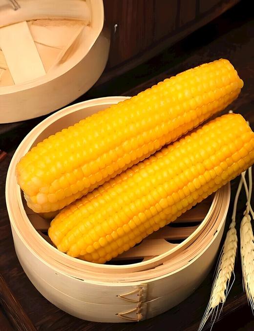 【甜糯玉米】香、甜、软、糯，QQ弹弹颗颗如珍珠一样 商品图5