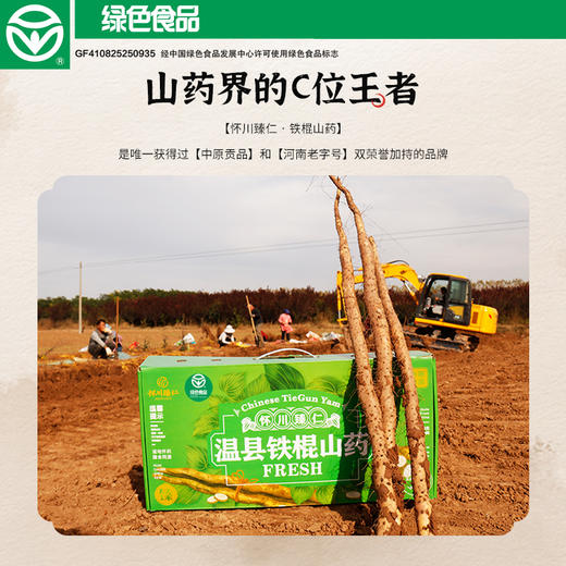【绿色食品认证】温县怀川臻仁中原贡品铁棍山药5斤包邮 新鲜采挖，产地直发 商品图4