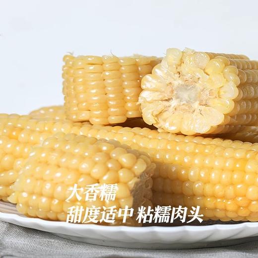 【甜糯玉米】香、甜、软、糯，QQ弹弹颗颗如珍珠一样 商品图9
